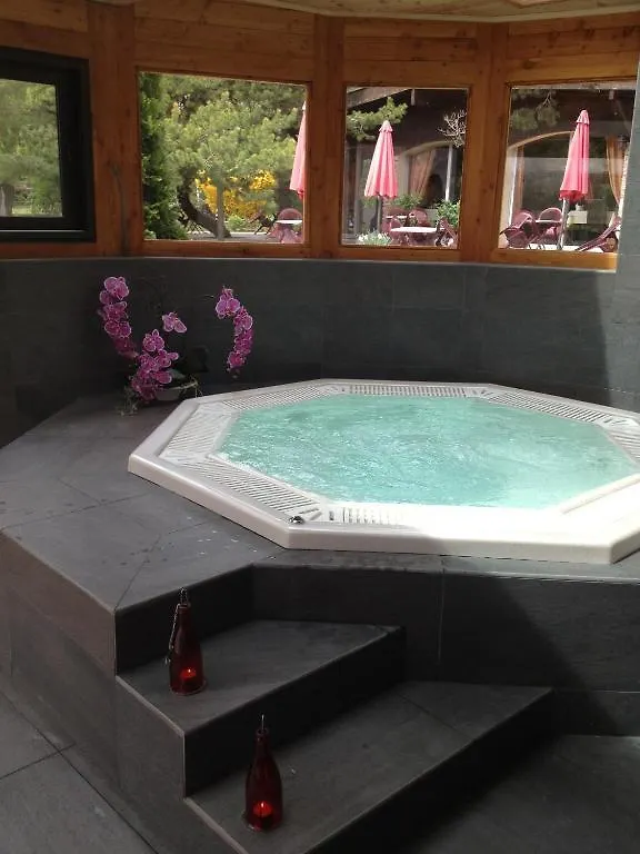Logis Hotel Le Lac Embrun